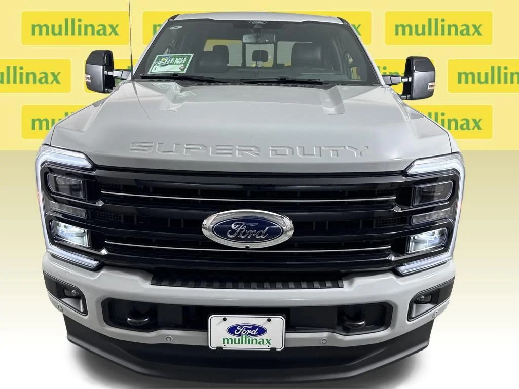 New 2026 White Ford Platinum image 19