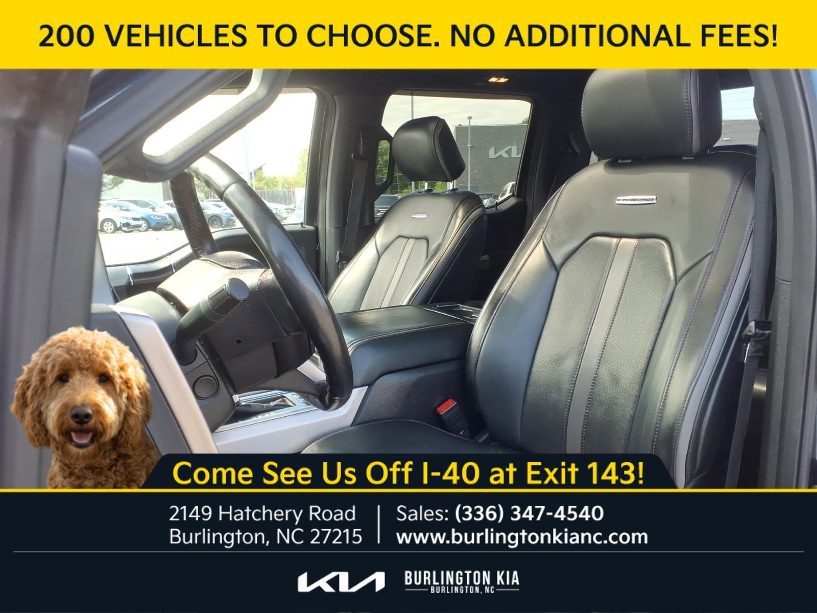 Used 2020 Blue Ford Platinum image 3