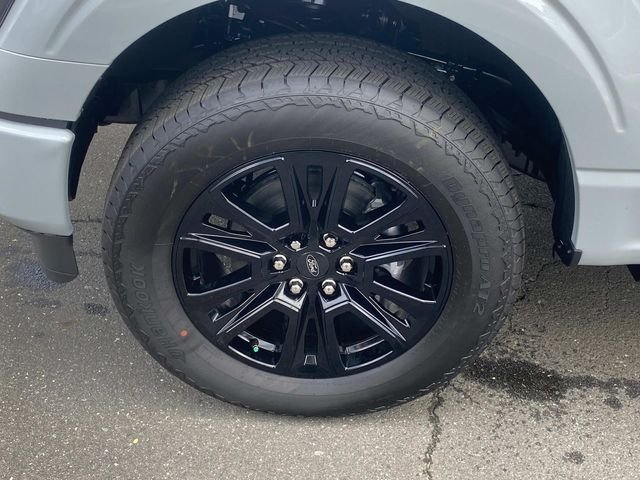 New 2026 White Ford Platinum image 5