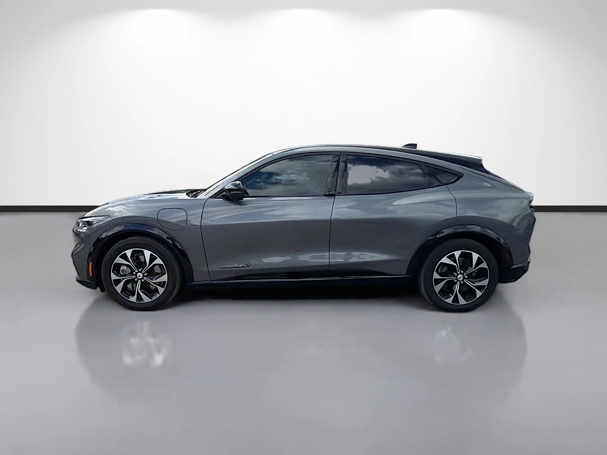 Used 2023 Ford Mustang Mach-E Premium RWD with VIN 3FMTK3R72PMA76377 for sale in Tampa, FL