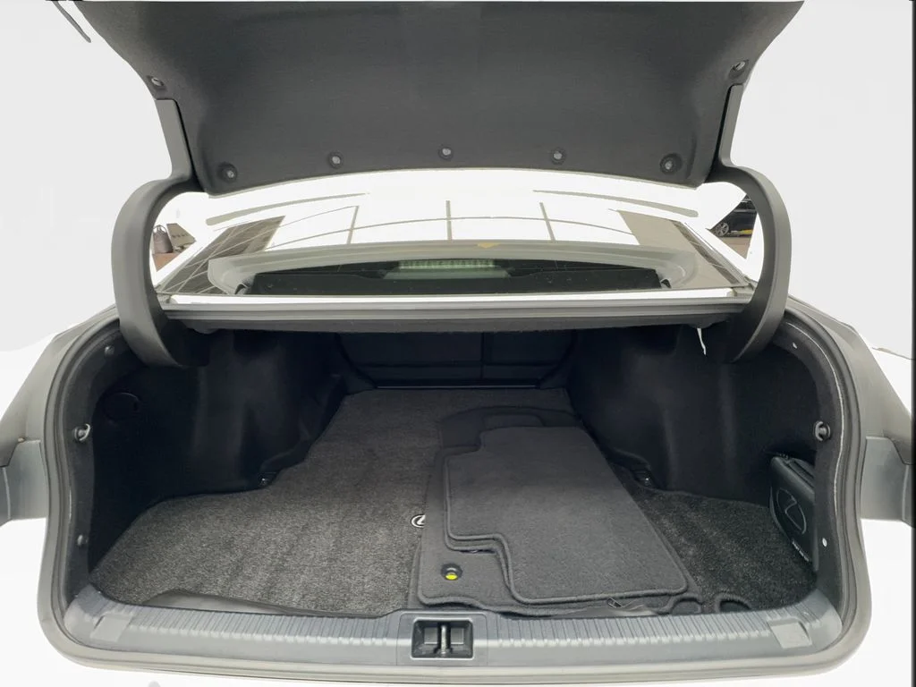 Used 2024 White Lexus 300 image 17