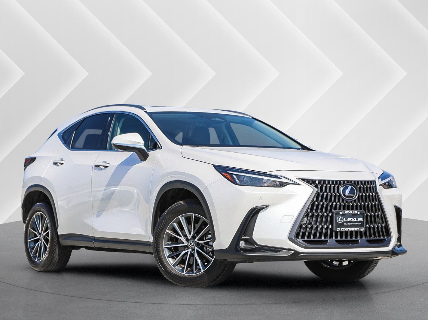 2025 Lexus NX