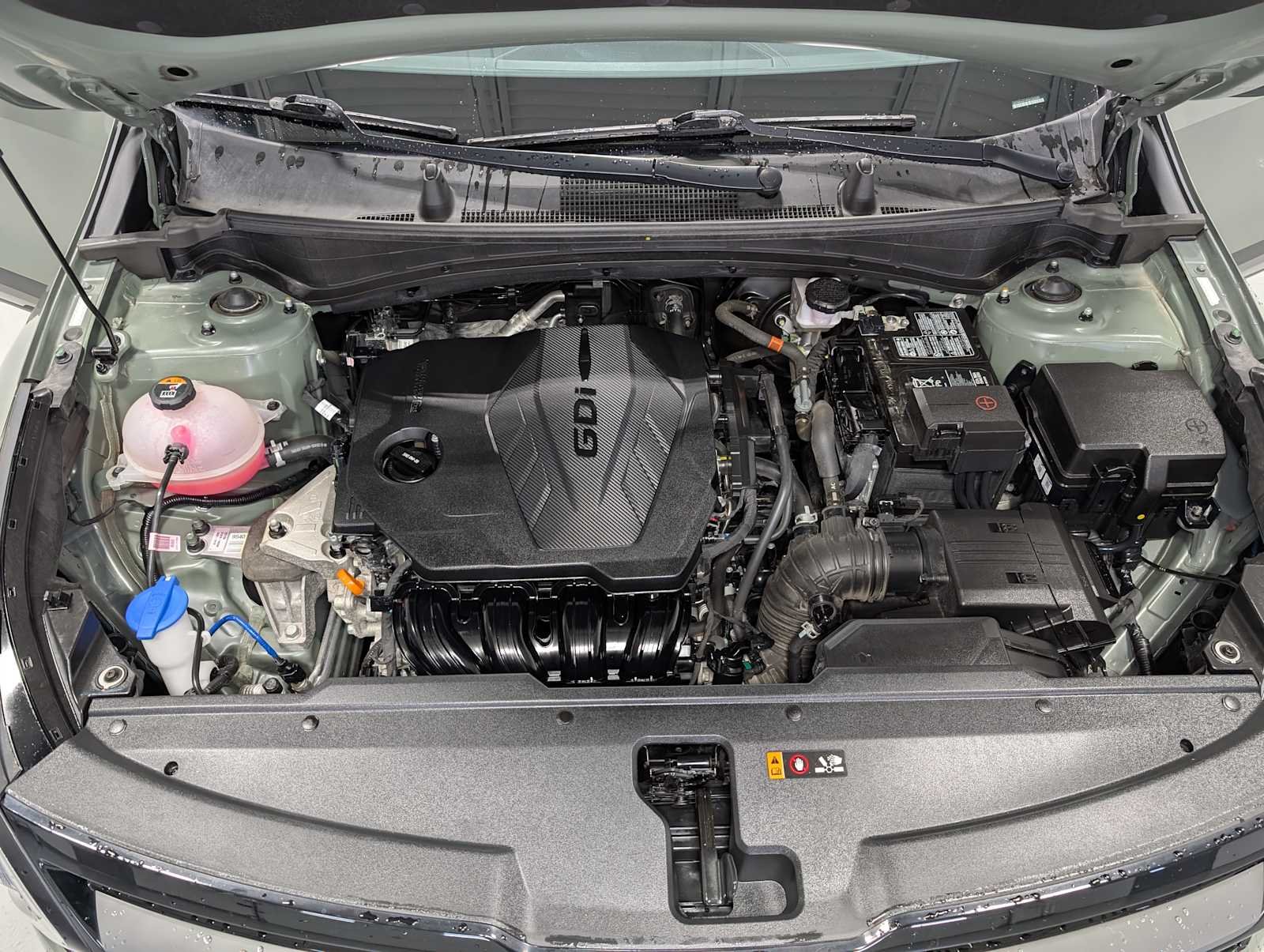 Used 2024 Jungle Green Kia X-Line image 14