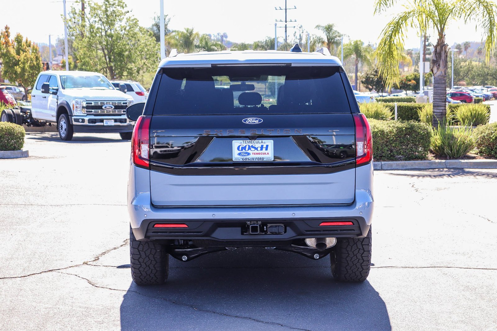 New 2027 Gray Ford Tremor image 6