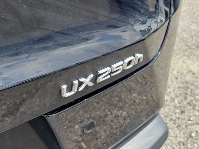 2024 Lexus UX Hybrid 250h Premium - Photo 8