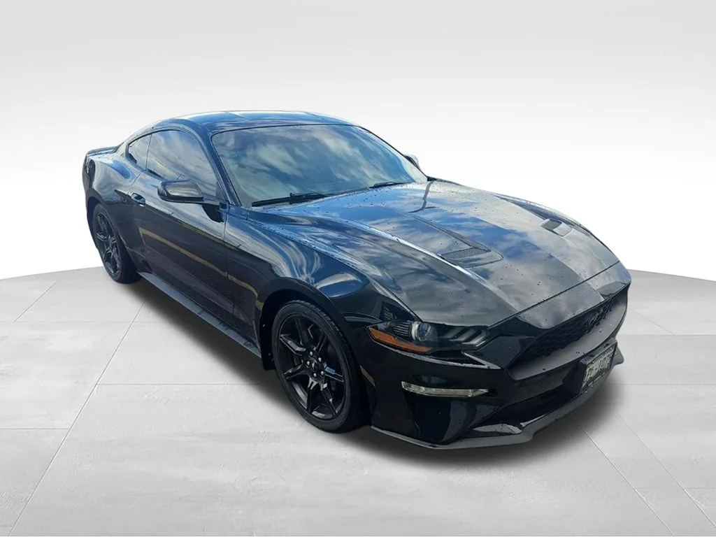 Used 2019 Shadow Black Ford EcoBoost Premium image 5