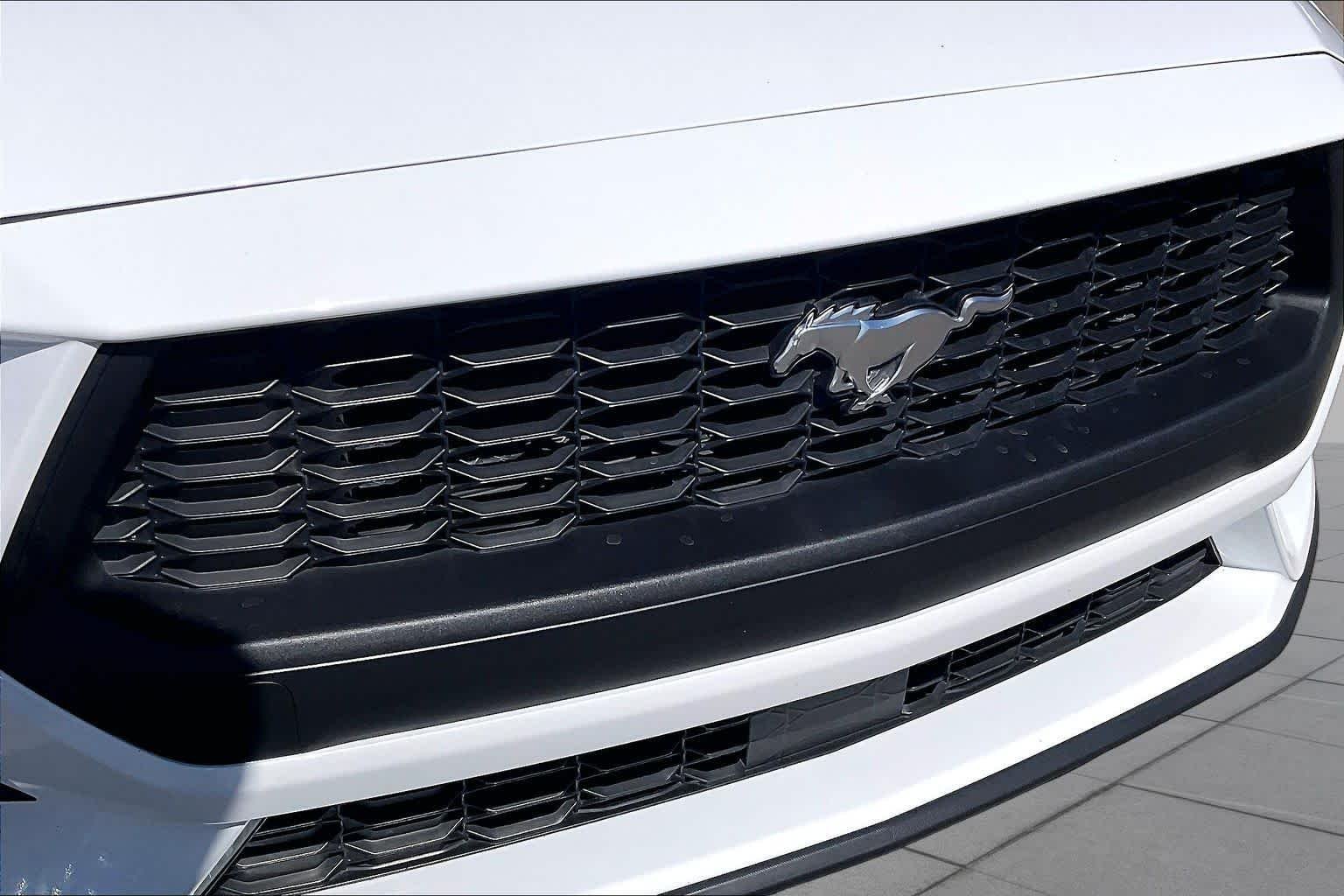 Used 2024 Oxford White Ford EcoBoost image 27
