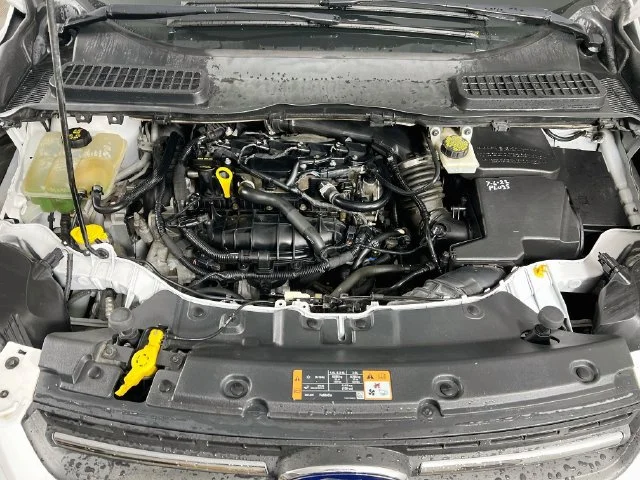 Used 2014 White Ford SE image 25