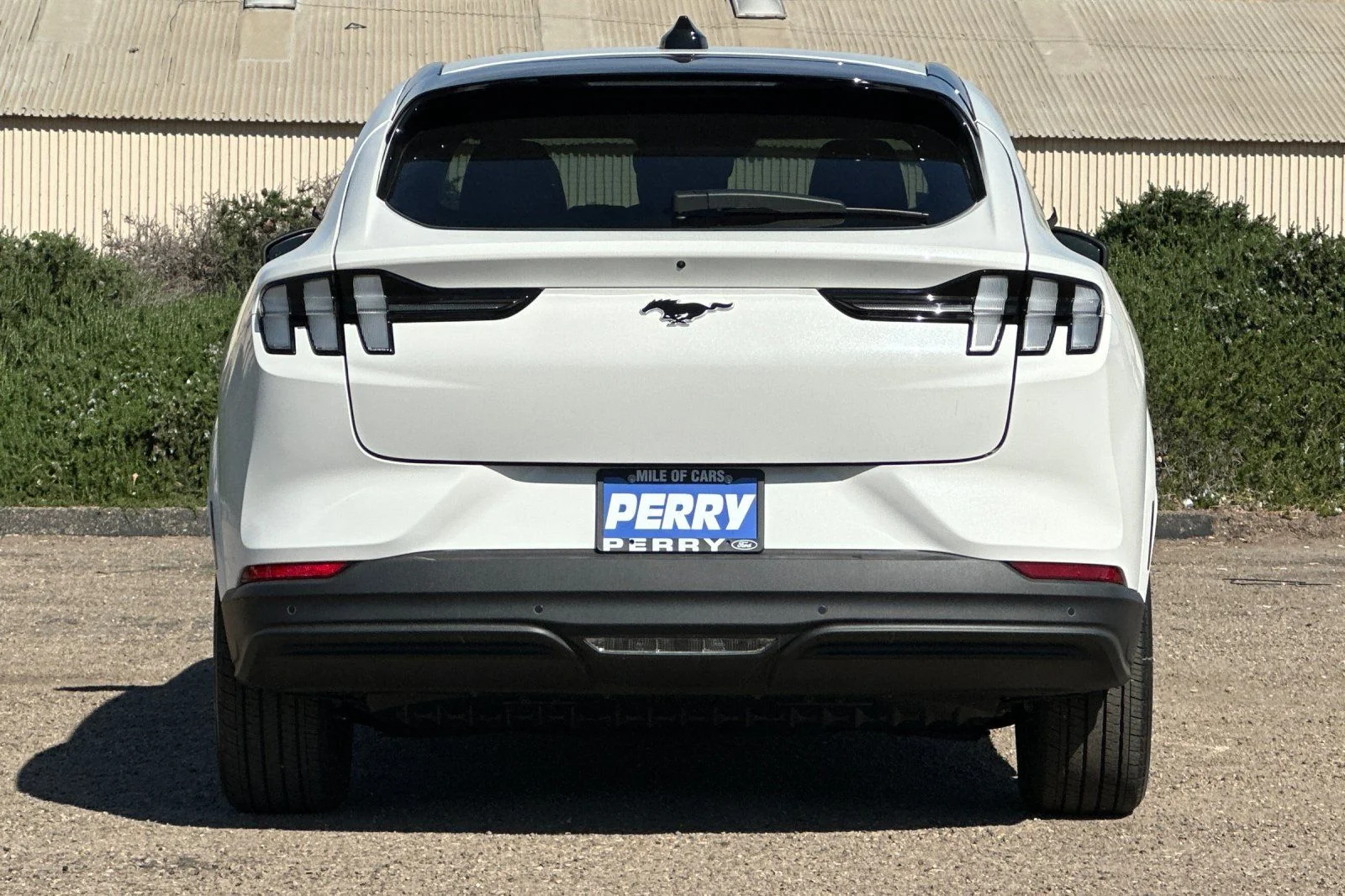 New 2026 Star White Metallic Tri-coat Ford Premium image 4