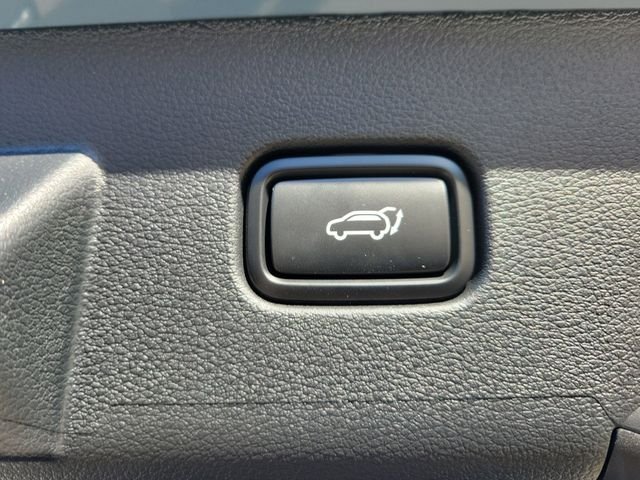 New 2026 Blue Kia X-Line image 10
