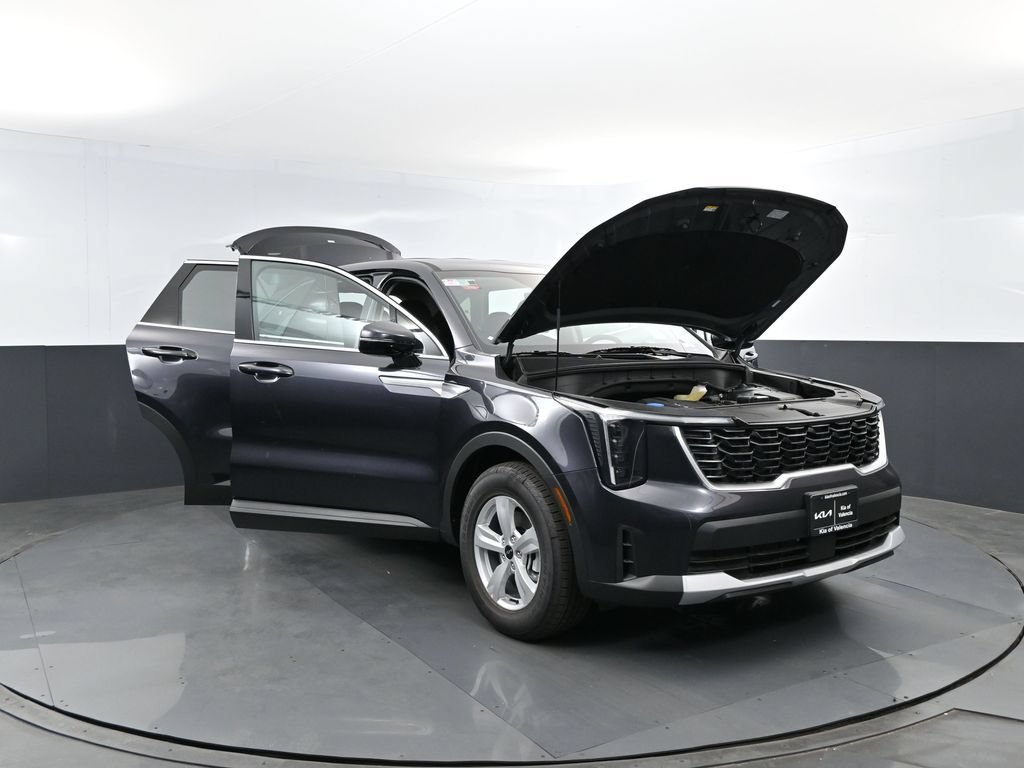 New 2026 Panthera Metal Kia LX image 29