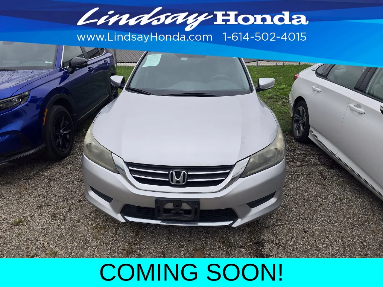Used 2013 Alabaster Silver Metallic Honda LX image 2