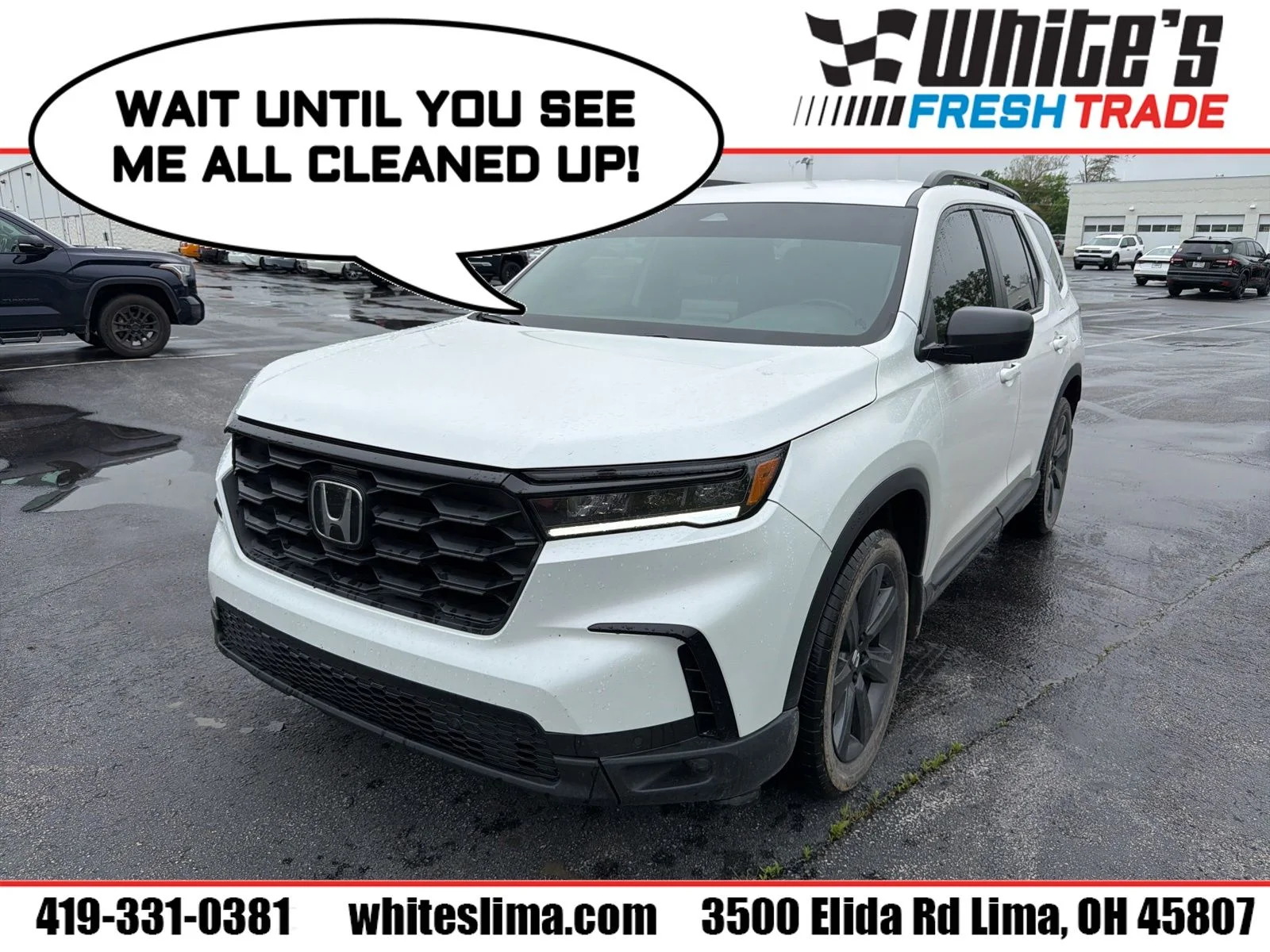 2025 Honda Pilot Sport AWD's photo