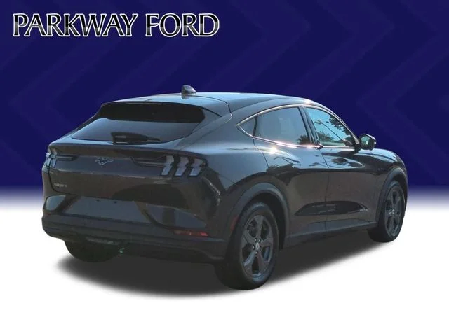 Used 2021 Gray Ford Select image 5