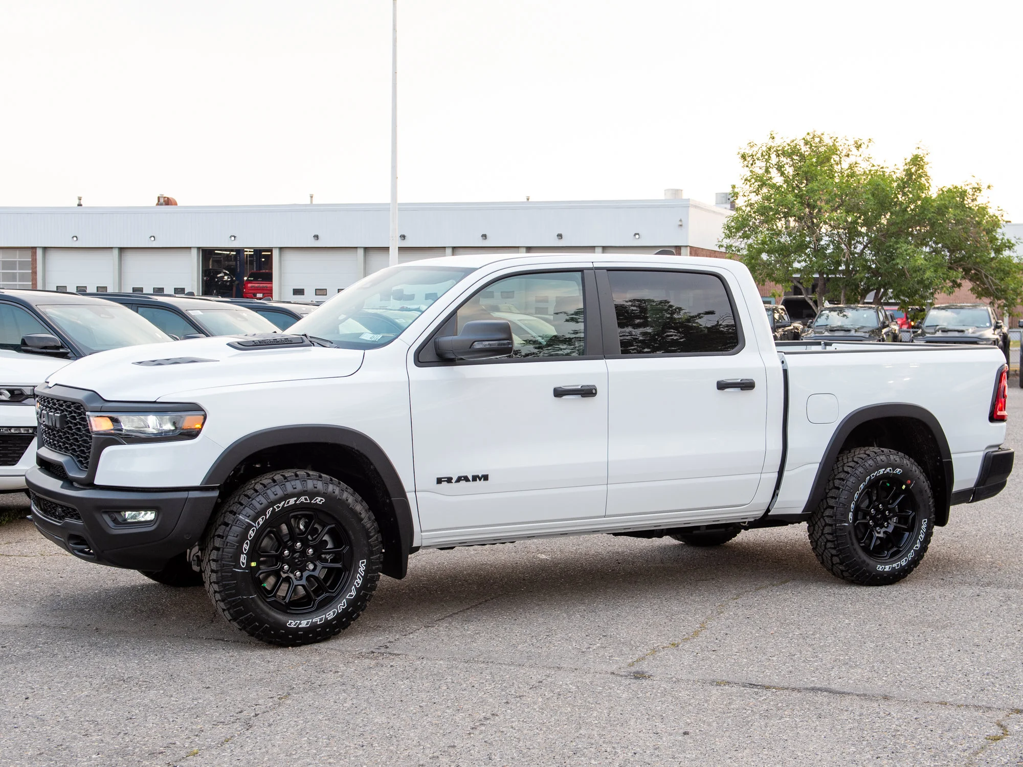 New 2026 White RAM Rebel* image 4