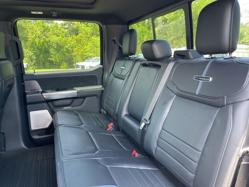 2025 Ford F-150 Platinum - Photo 10