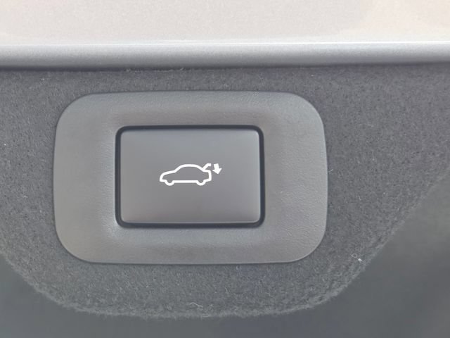 New 2026 Iridium Lexus PREMIUM image 26