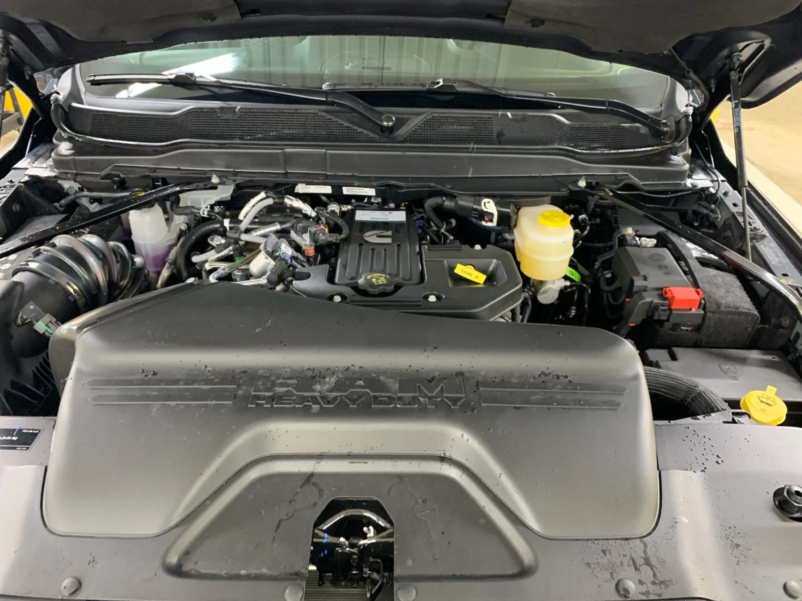 New 2026 Forged Blue Metallic Ram Big Horn image 19