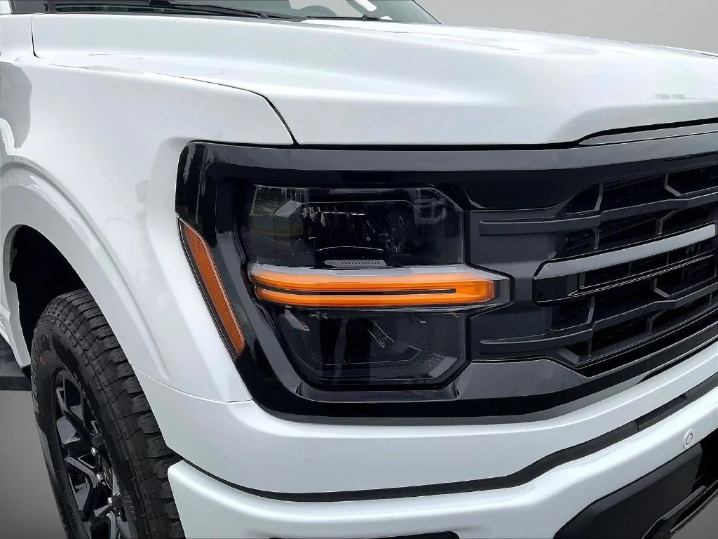 New 2026 Oxford White Ford XLT image 37