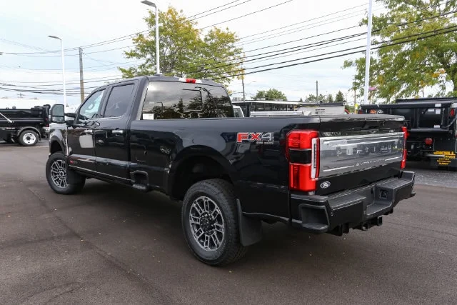 New 2027 Black Metallic Ford Platinum image 7