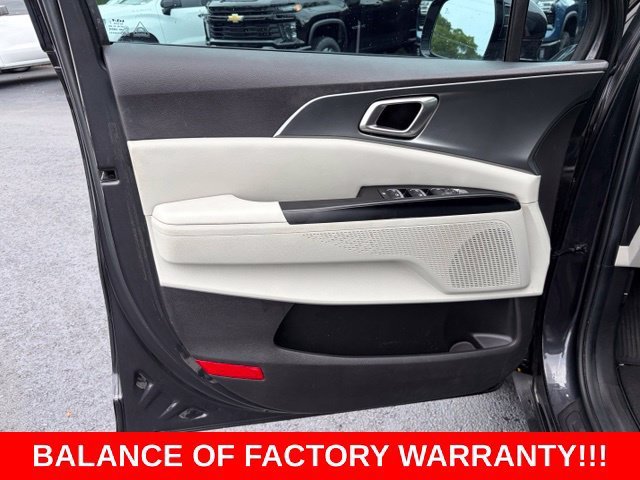 Used 2023 Panthera Metal Kia LX image 12