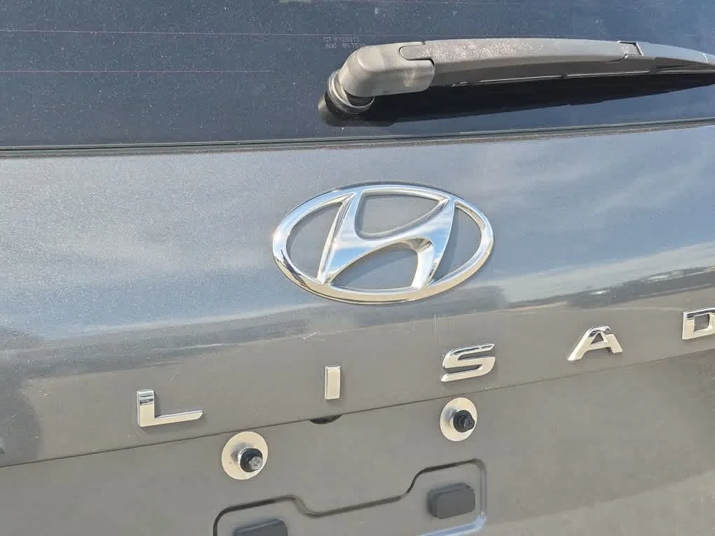 Used 2022 Steel Graphite Hyundai Calligraphy image 24