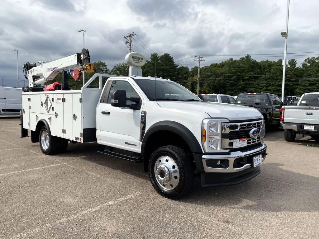 Used 2025 White Ford XLT image 1