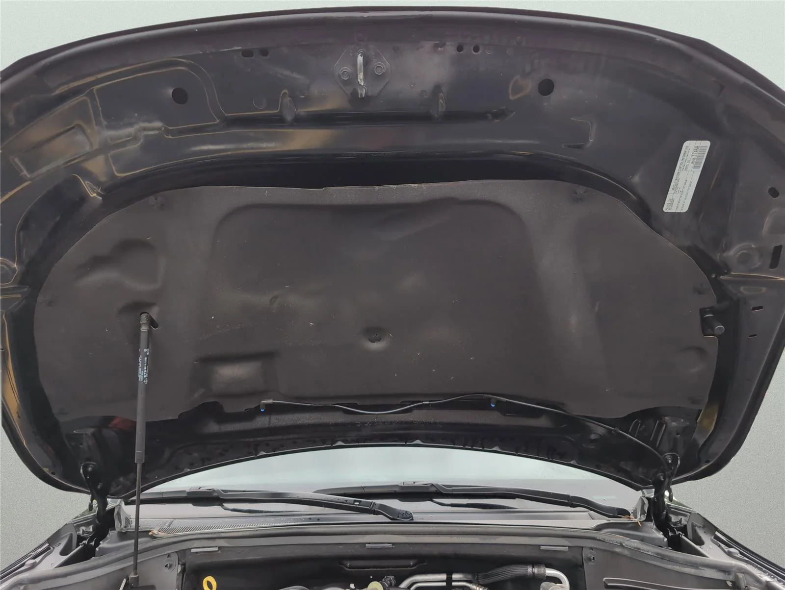 Used 2024 DB Black Clearcoat Dodge GT Plus image 11
