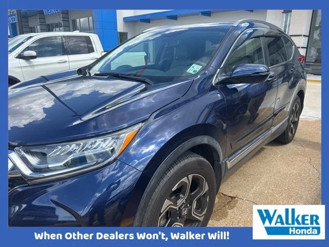 Used 2018 Blue Honda Touring image 1