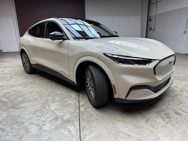 New 2025 Beige Ford Premium image 7
