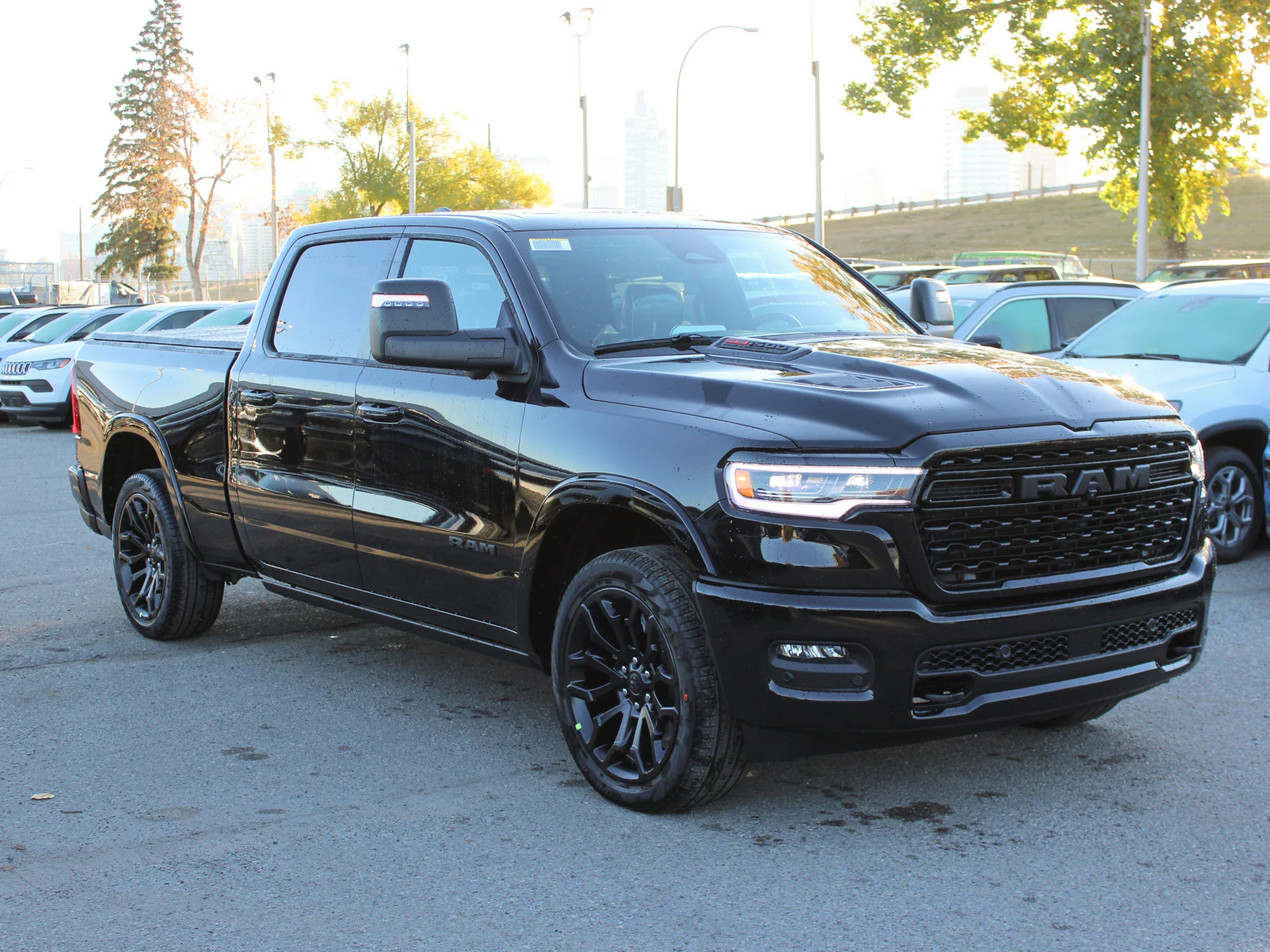 Used 2026 Black RAM Limited* image 7