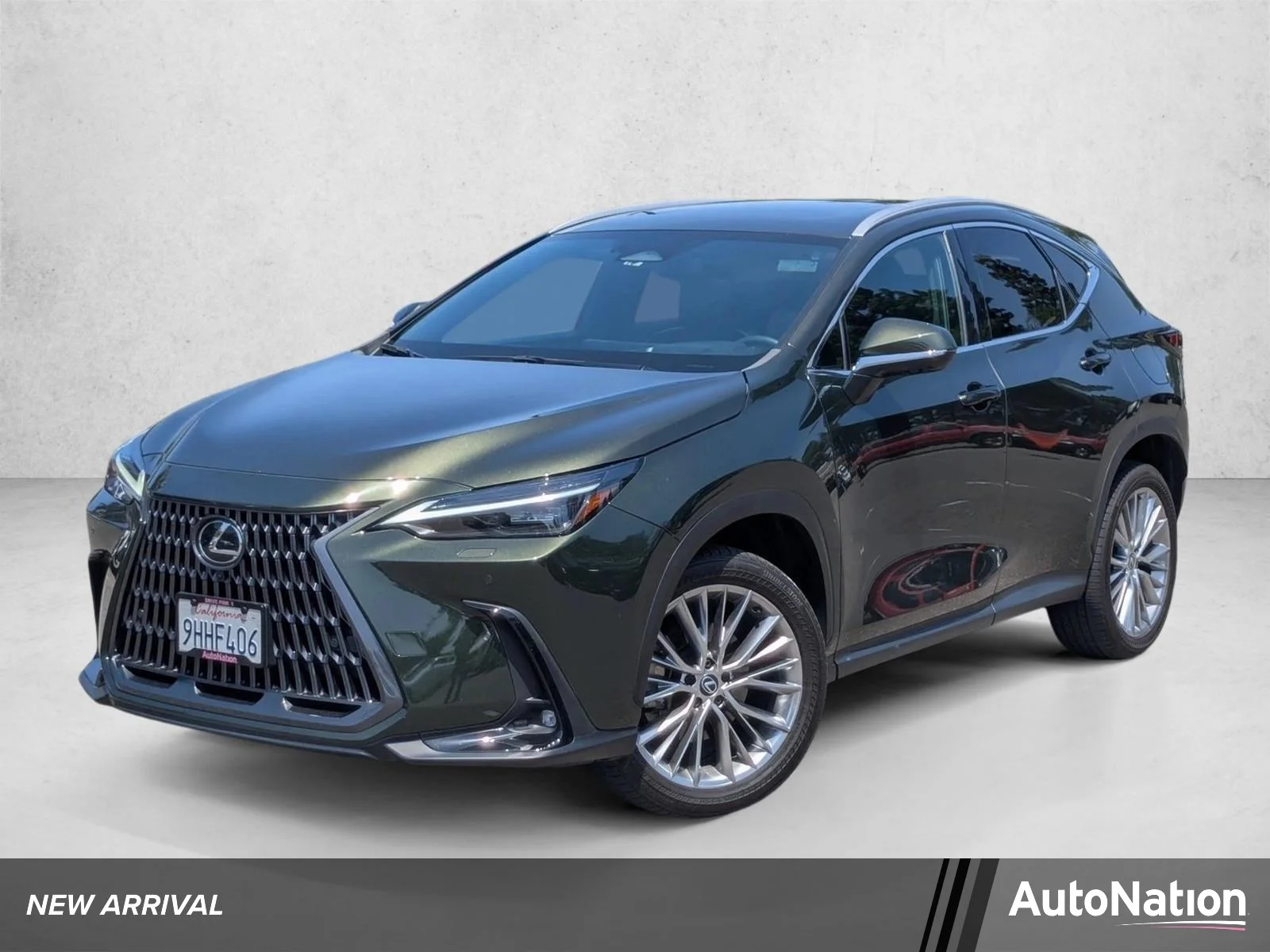 2024 Lexus NX 350 350 Luxury AWD's photo