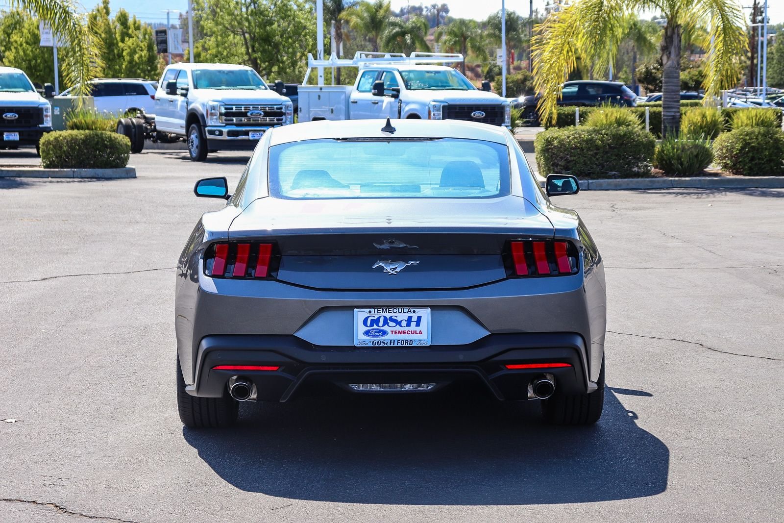 New 2026 Carbonized Gray Metallic Ford EcoBoost® Fastback image 5