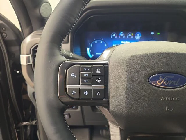 New 2026 Agate Black Metallic Ford Platinum® image 41