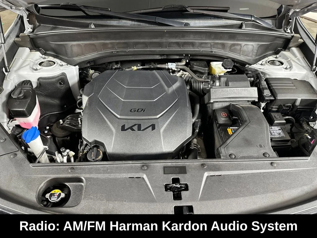 Used 2024 Gray Kia SX X-Pro image 5
