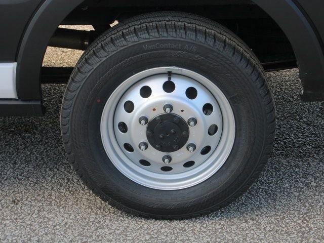 New 2024 White Ford Base image 15
