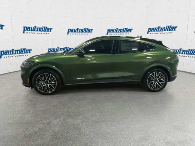 New 2026 Green Ford Premium image 6
