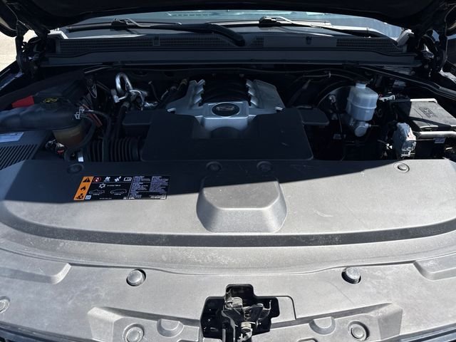 Used 2019 Black Cadillac Platinum Edition image 30