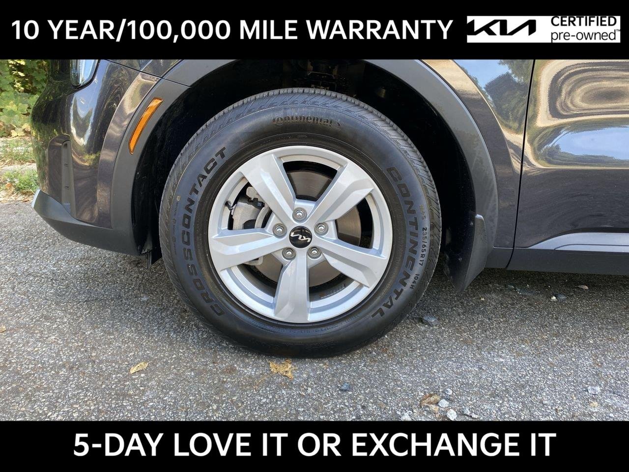 Used 2026 Panthera Metal Kia LX image 14