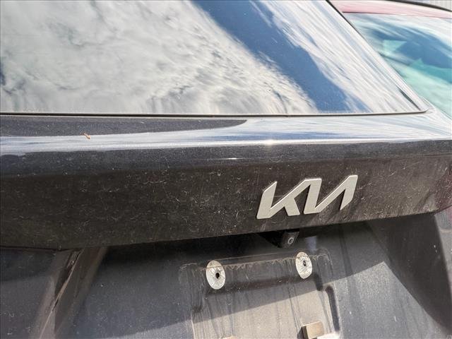 Used 2025 Panthera Metal Kia S image 8