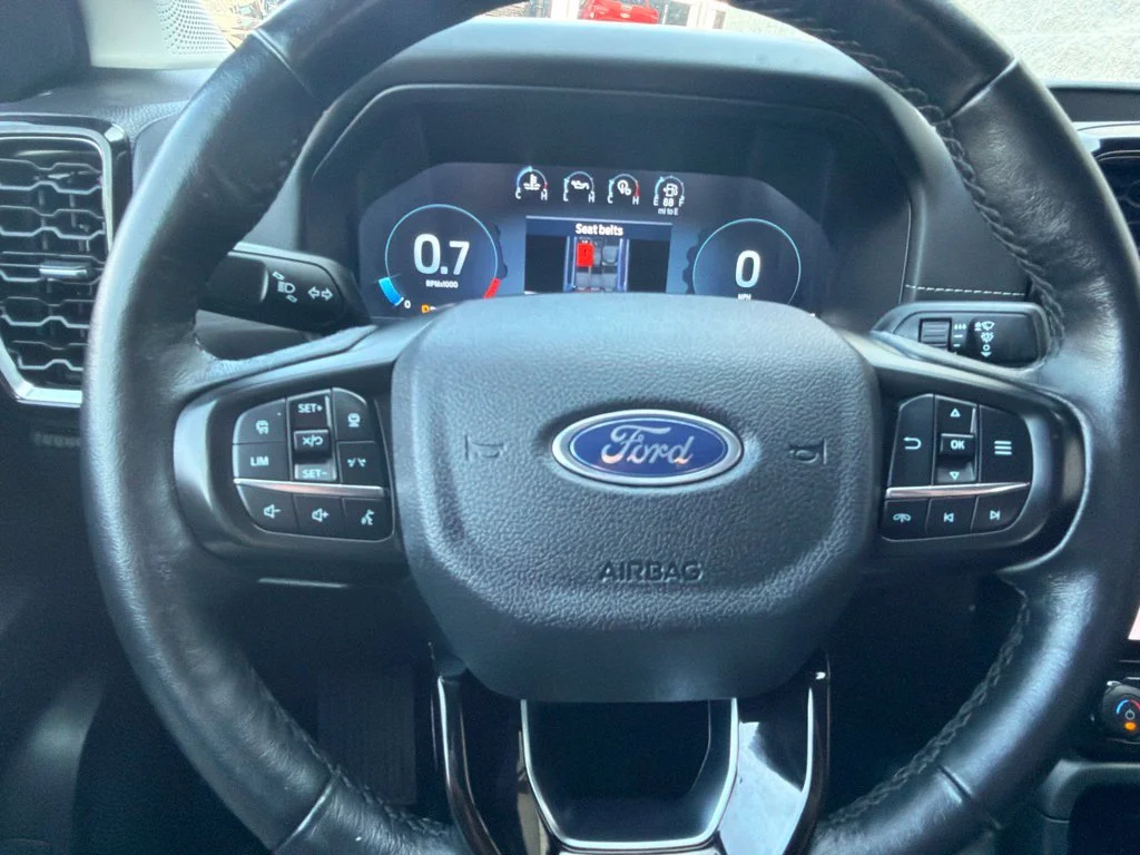 Used 2024 Cactus Green / Gray Ford Lariat image 20