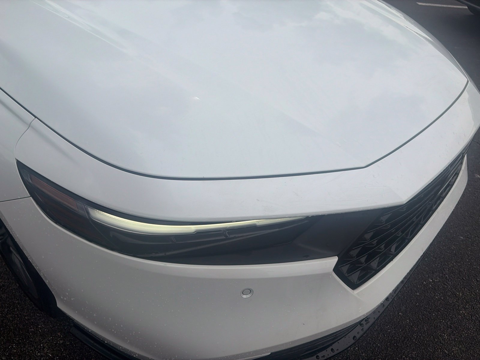 Used 2025 White Honda EX-L image 19
