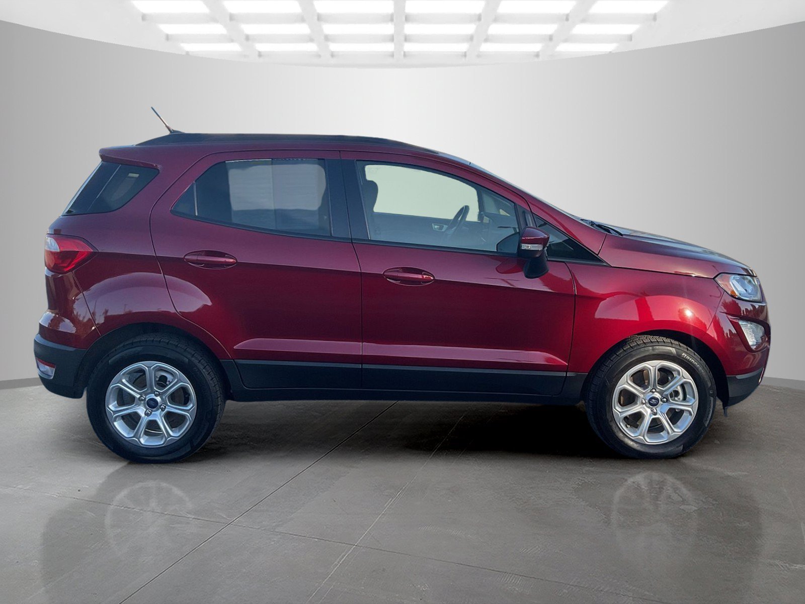 Used 2019 Ruby Red Metallic Ford SE image 6