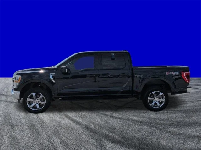 Used 2021 Blue Ford XLT image 7