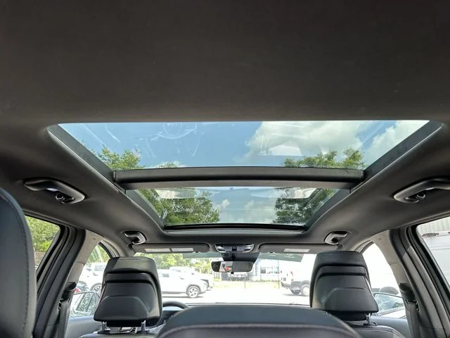 Used 2023 Green Kia X-Line image 18