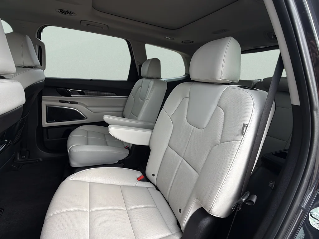 Certified Used 2025 Panthera Metal Kia SX image 28