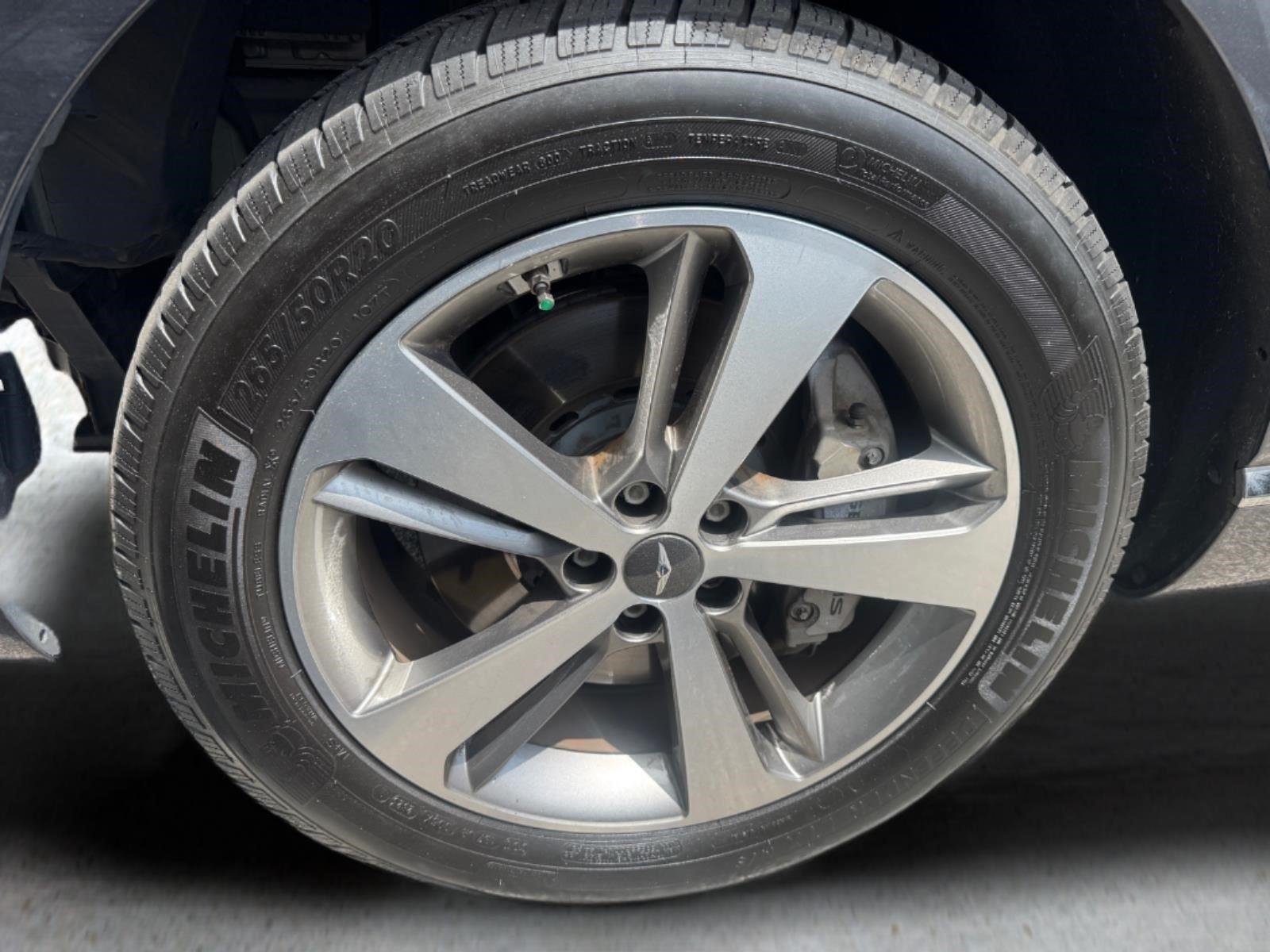 Used 2021 Himalayan Gray Genesis Advanced + image 3