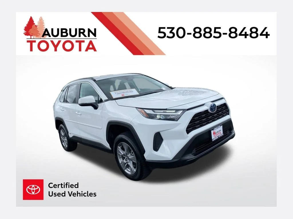 2024 Toyota RAV4 Hybrid LE AWD's photo
