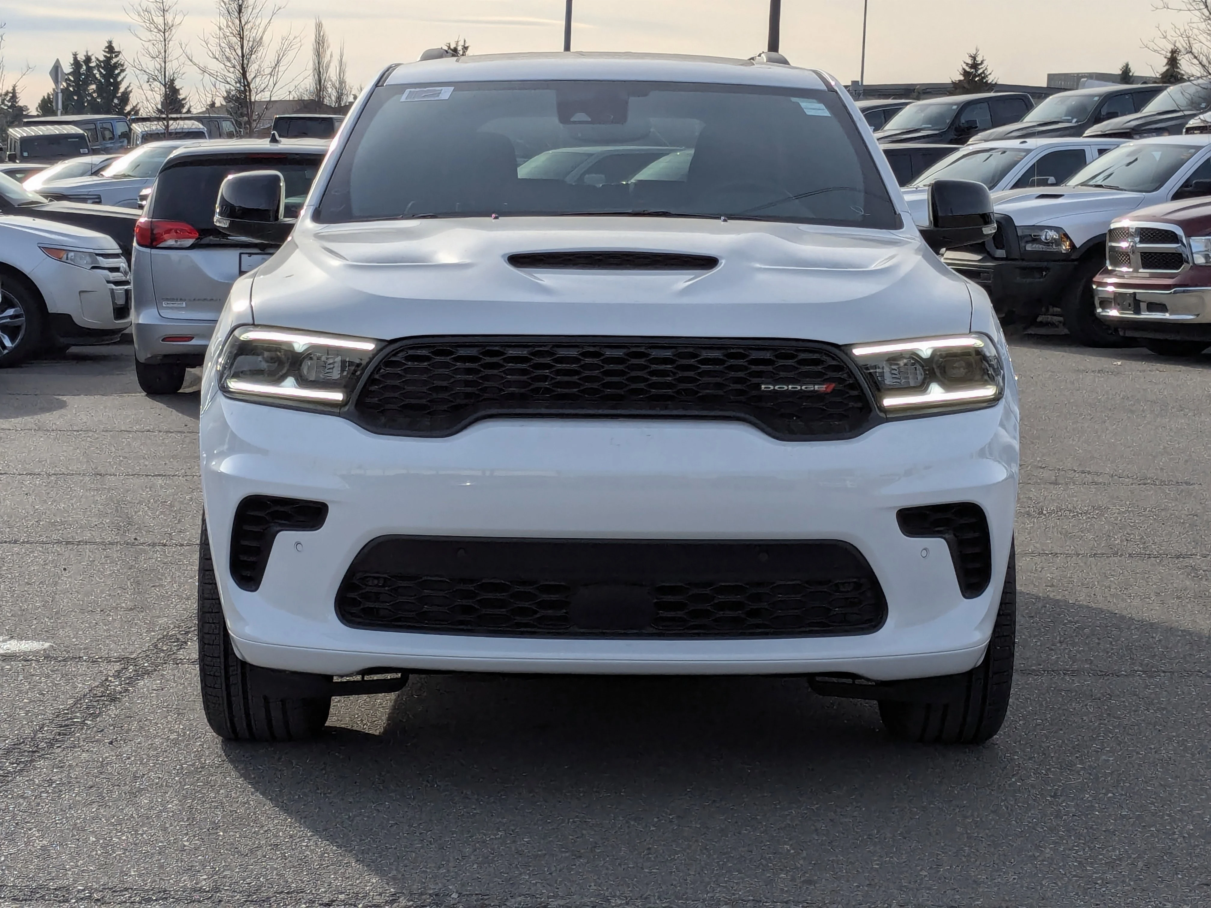 New 2026 White Dodge GT Plus - - GT Plus Pkg (2BH) - 2nd Row Captain Chairs - Ebony Red Leather?Faced Seats - 10.1 Nav & image 3