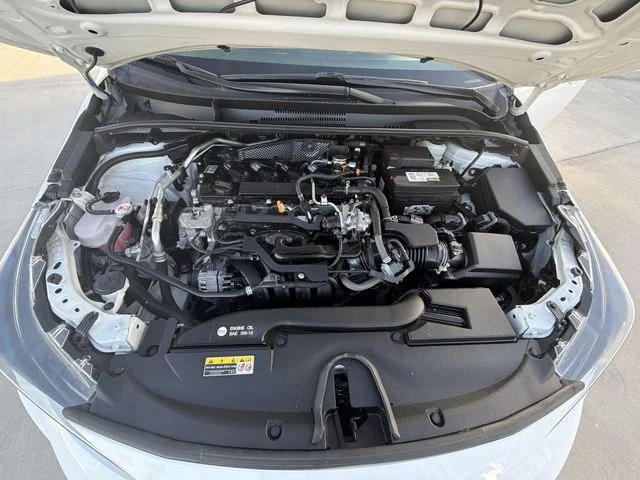View 31